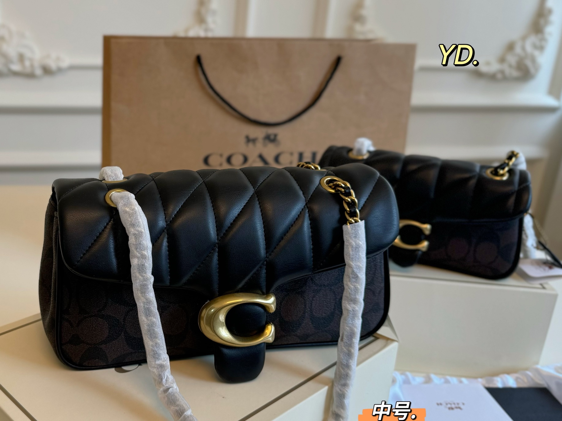 coach bag 225
